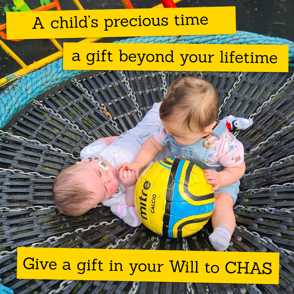 Cole and sister playing on a platform swing with the words: A child's precious time, a gift beyond your lifetime. Give a gift in your Will to CHAS.